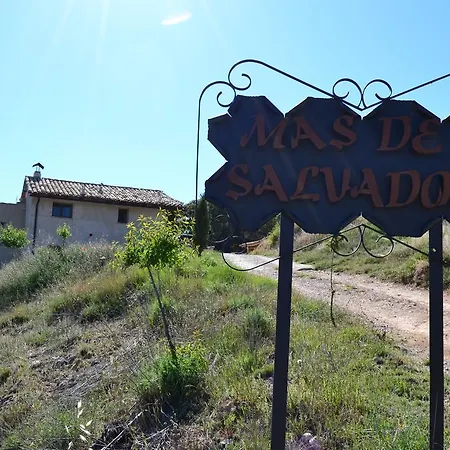 Mas De Salvador Holiday home *