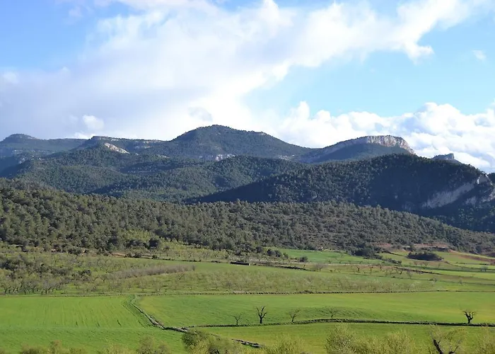 Semesterbostad Mas De Salvador *