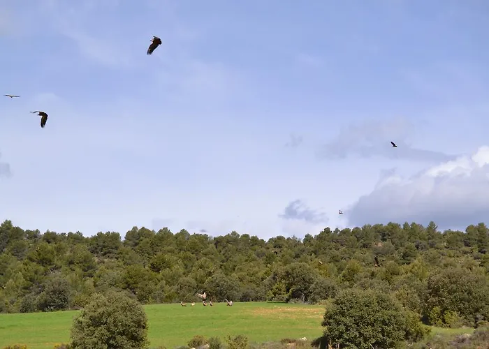 Semesterbostad Mas De Salvador *